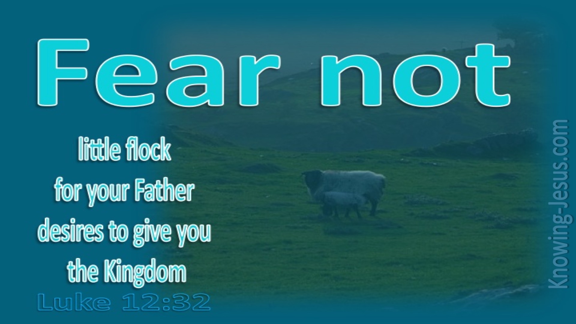 Luke 12:32 Fear Not Little Flock (aqua)